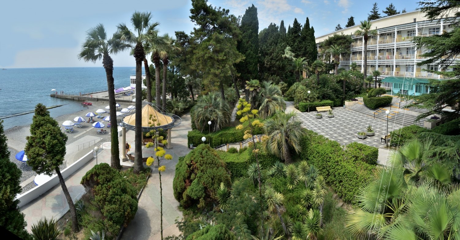 Веб-камера Сочи - Парк санатория Фрунзе