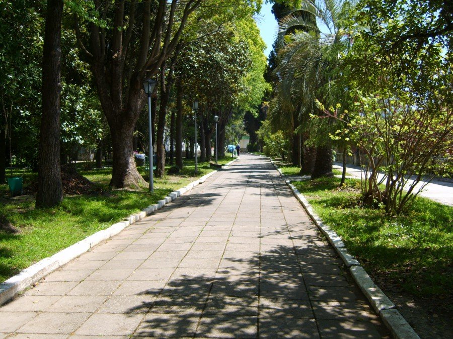 Веб-камеры Парк в Новом районе, Сухум