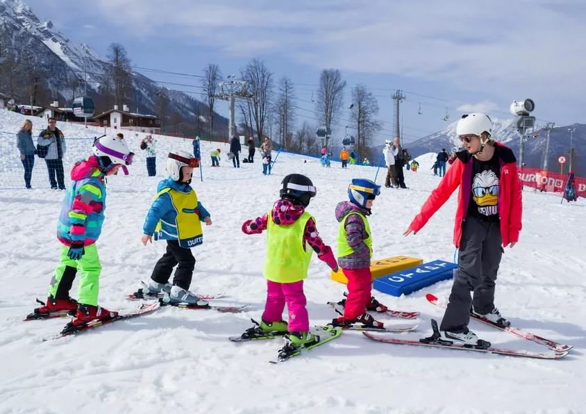 Веб-камеры Приют