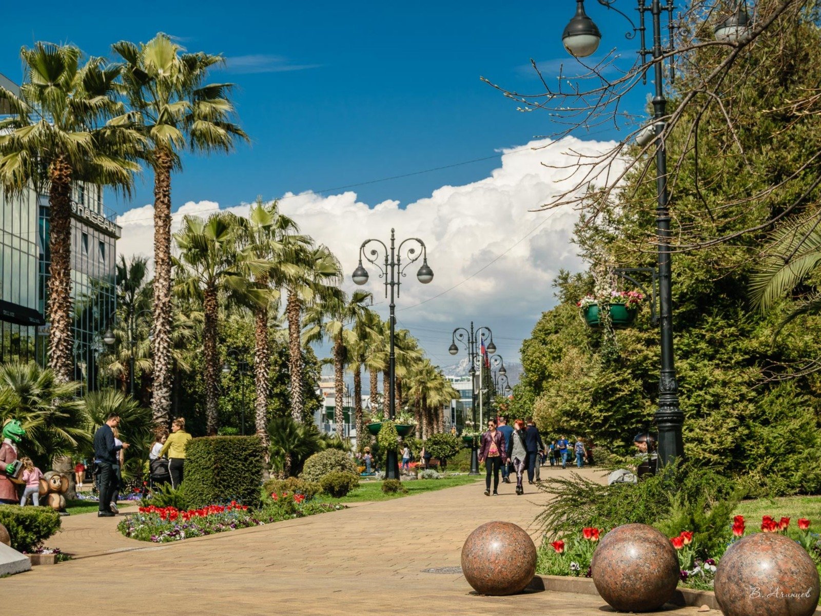 Веб-камеры Сочи - Улица Навагинская в сторону морпорта