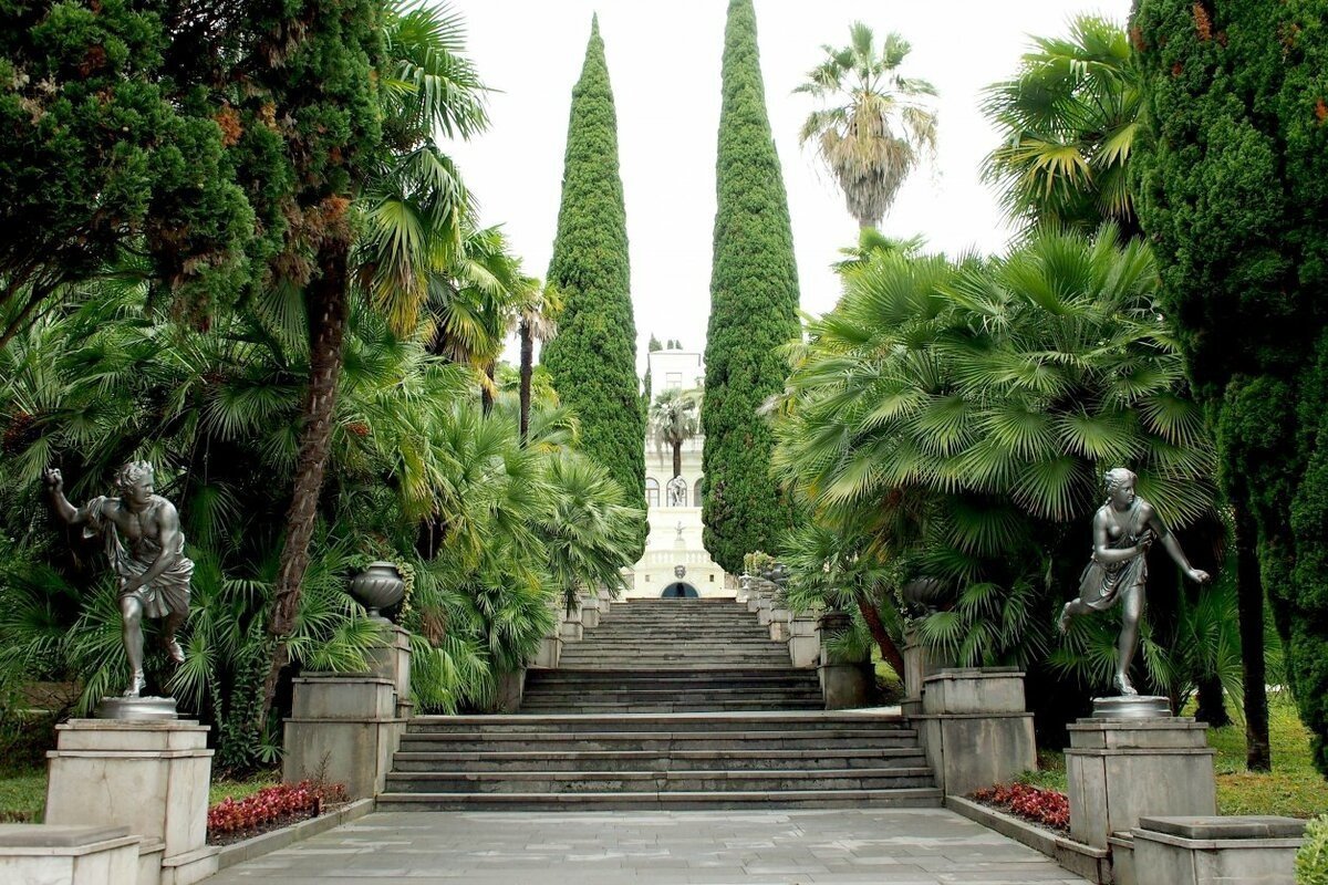 Веб-камера Сочи - Дендрарий, верхний парк