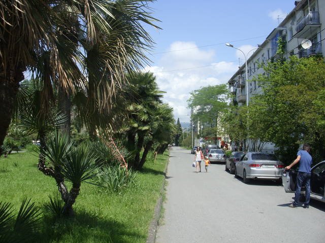 Веб-камеры проспект Мира и улица Инал-Ипа, Сухум