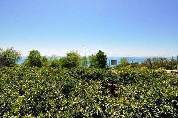 Веб-камеры Сухумское шоссе