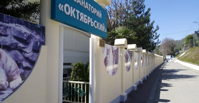 Веб-камеры Мамайка - Санаторий Октябрьский, ул. Плеханова, 34б.