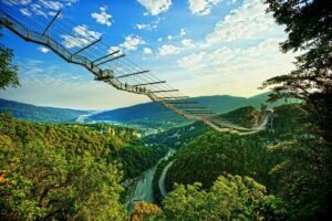 Что посмотреть в Сочи самостоятельно